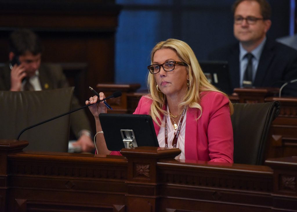 Sen. Rezin reacts to new administrative rule change for FOID cards ...