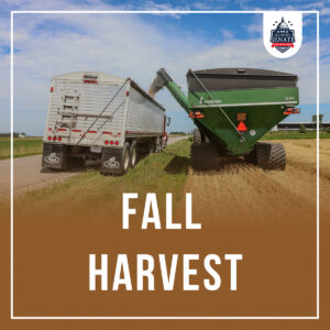 Fall Harvest