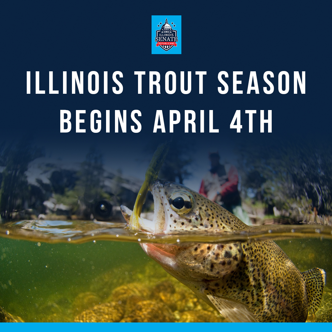 Trout Season Begins
