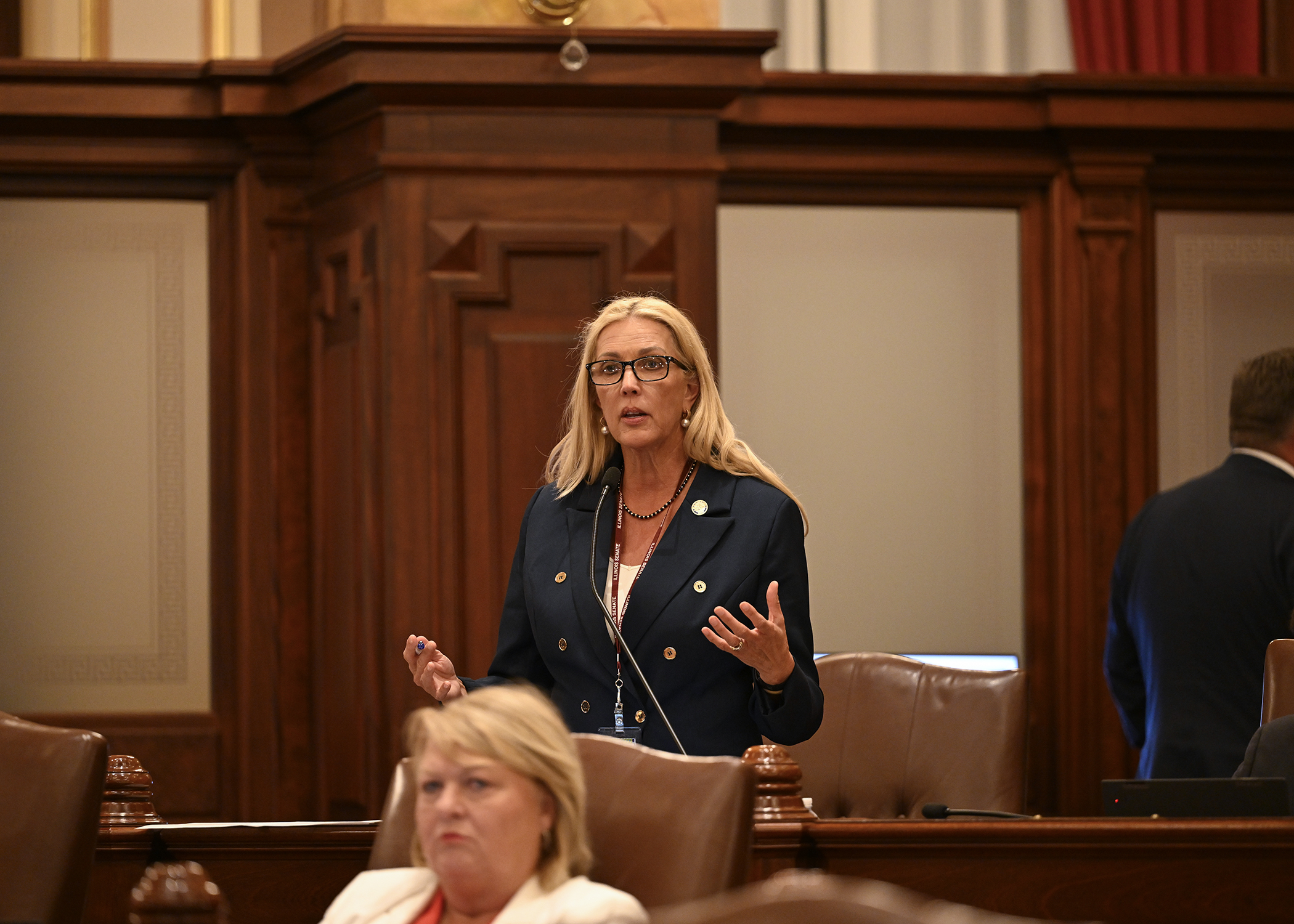Senator Rezin Speaking on the Senate Floor