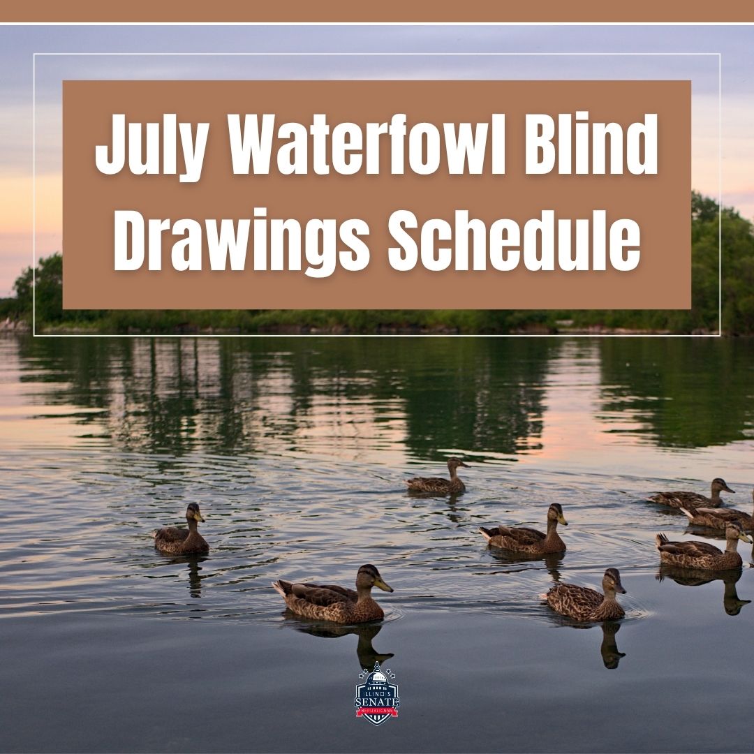 July Waterfowl Blind Drawings